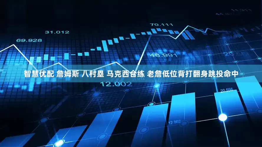 智慧优配 詹姆斯 八村塁 马克西合练 老詹低位背打翻身跳投命中