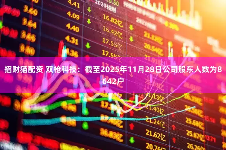 招财猫配资 双枪科技：截至2025年11月28日公司股东人数为8642户